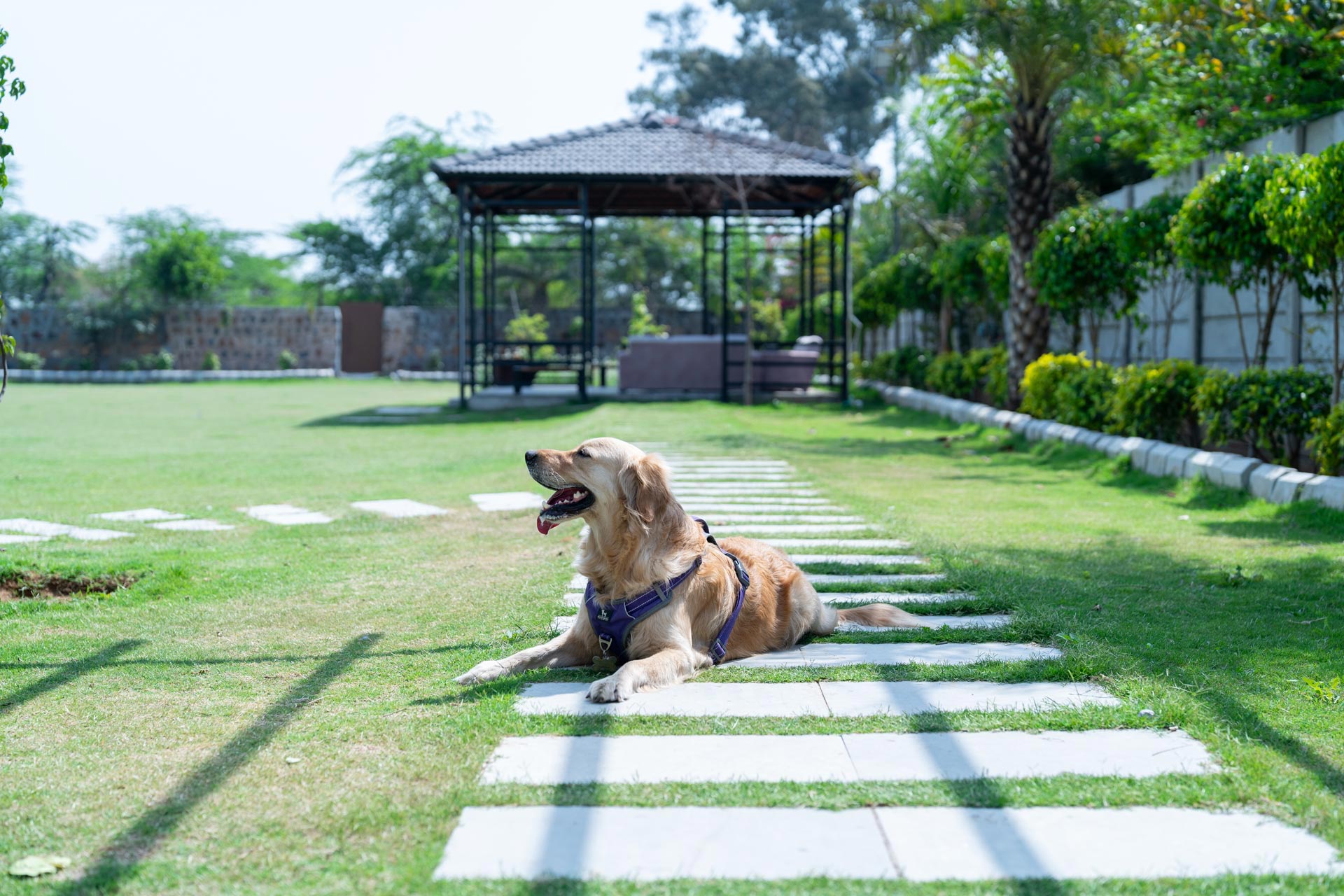 Auric Acres - Sohna