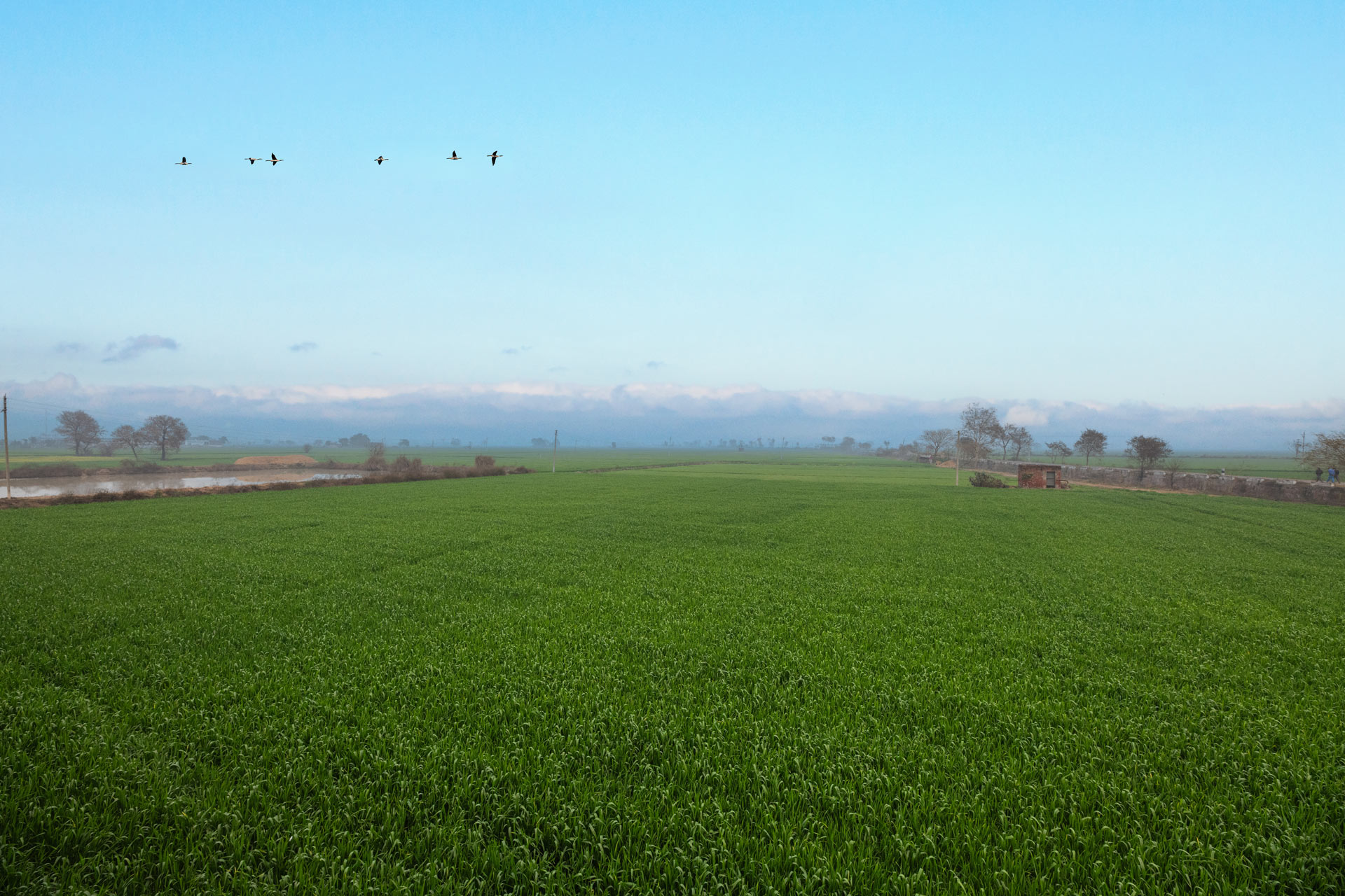 Chahal Farmstay - Image 3