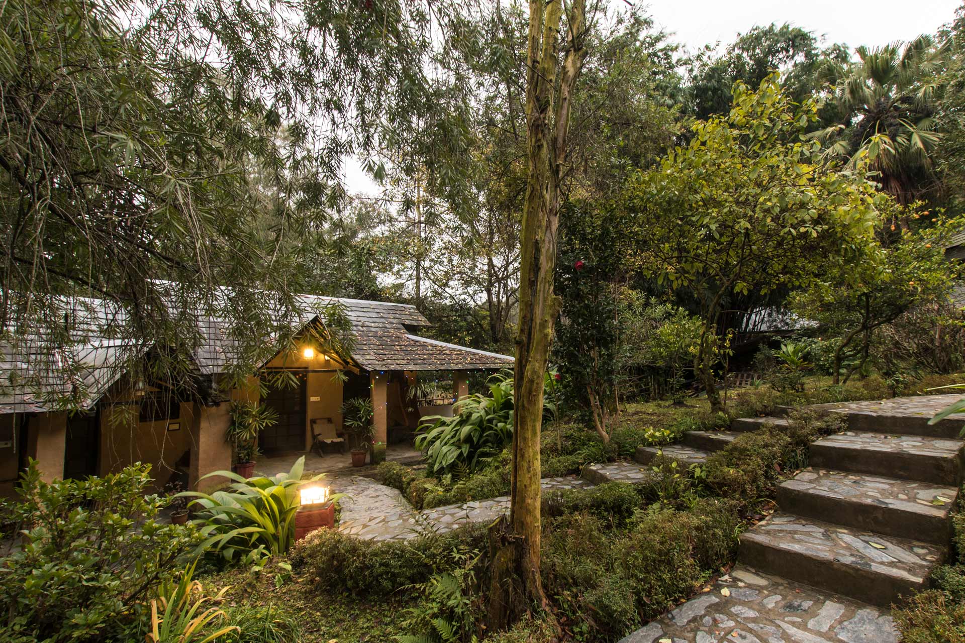 Secluded family cottage amidst Dharamshala's lush greenery