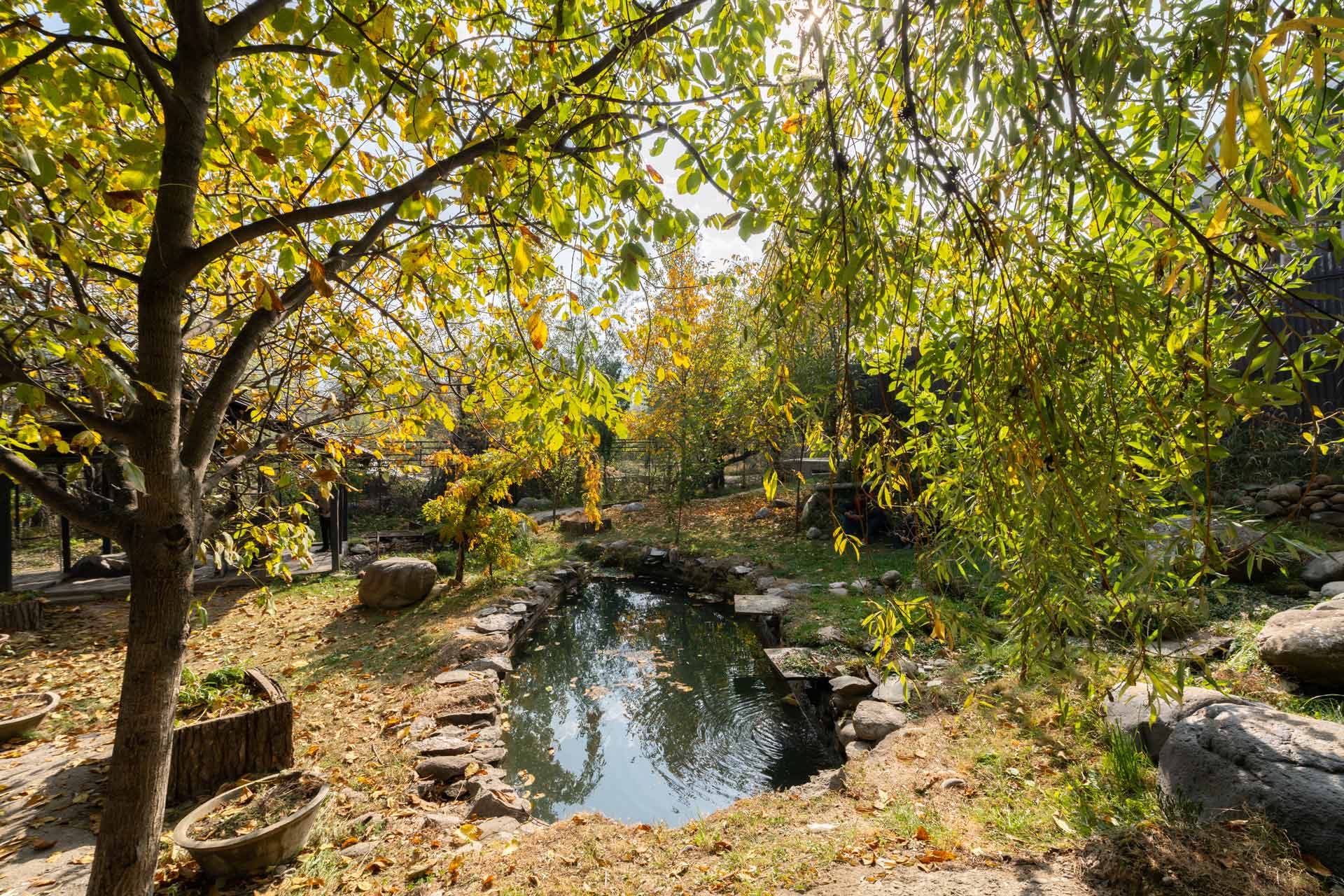 Crystal Creek - Image 4