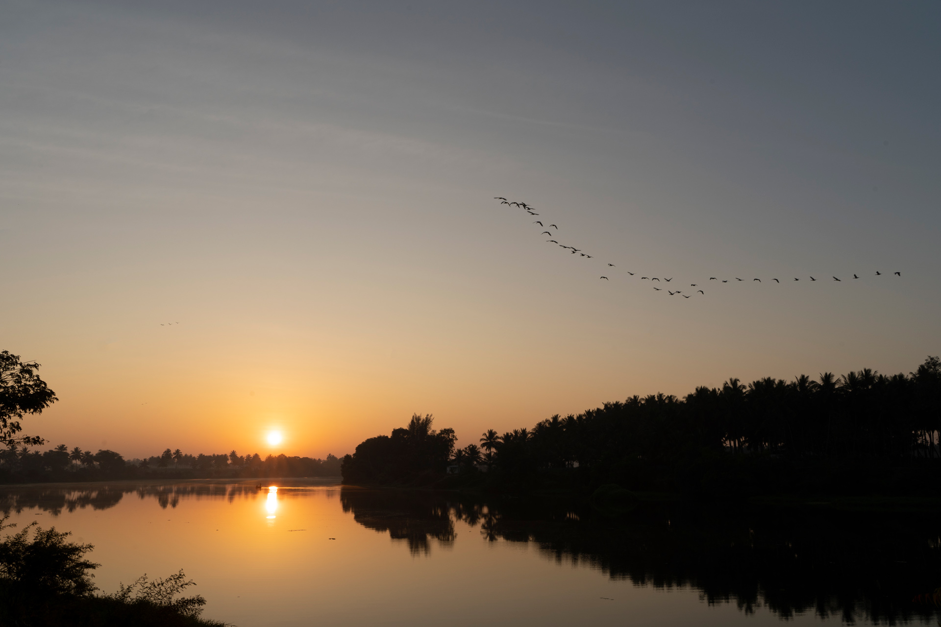 Golden Triangle - Image 4