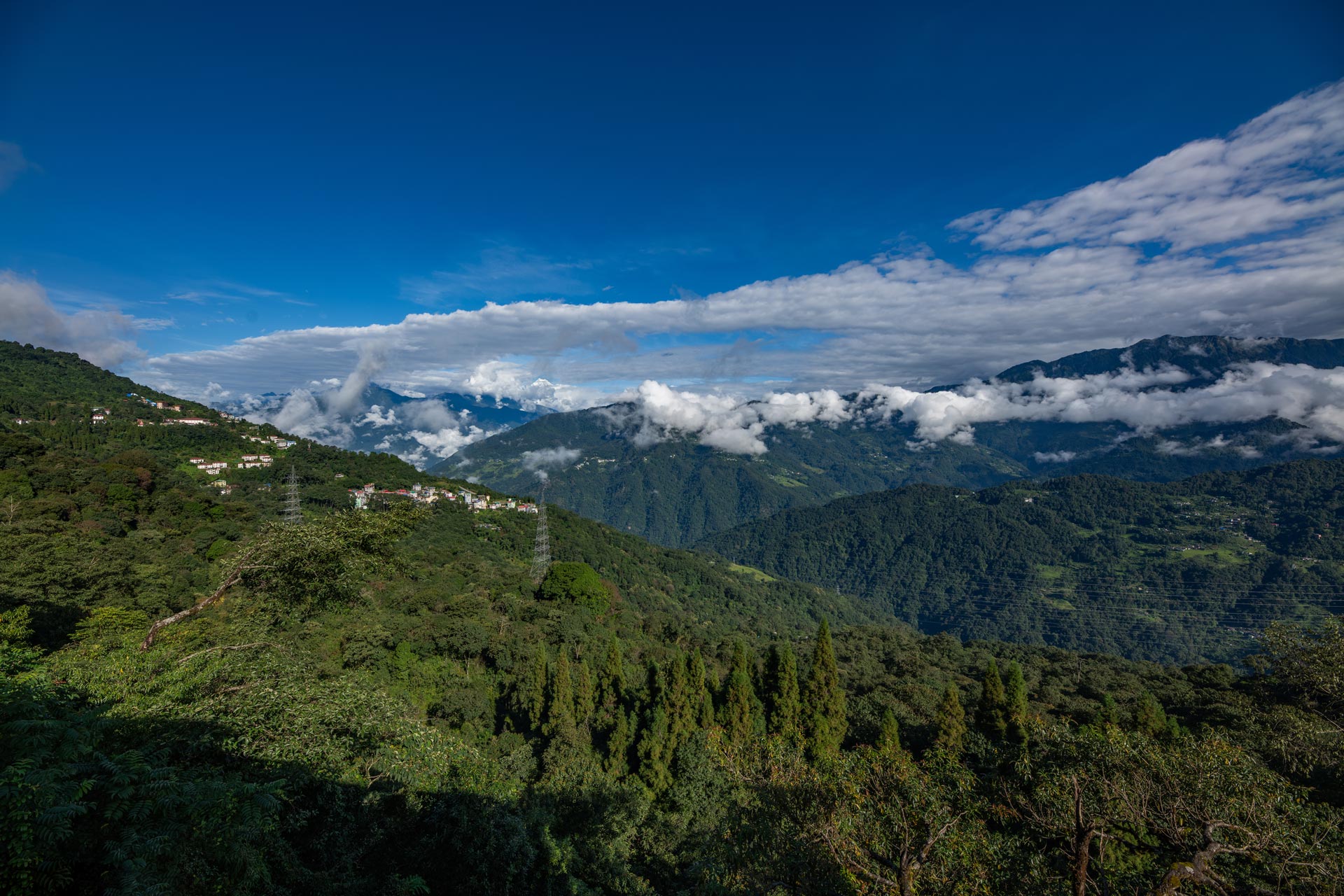 Himalayan Horizon