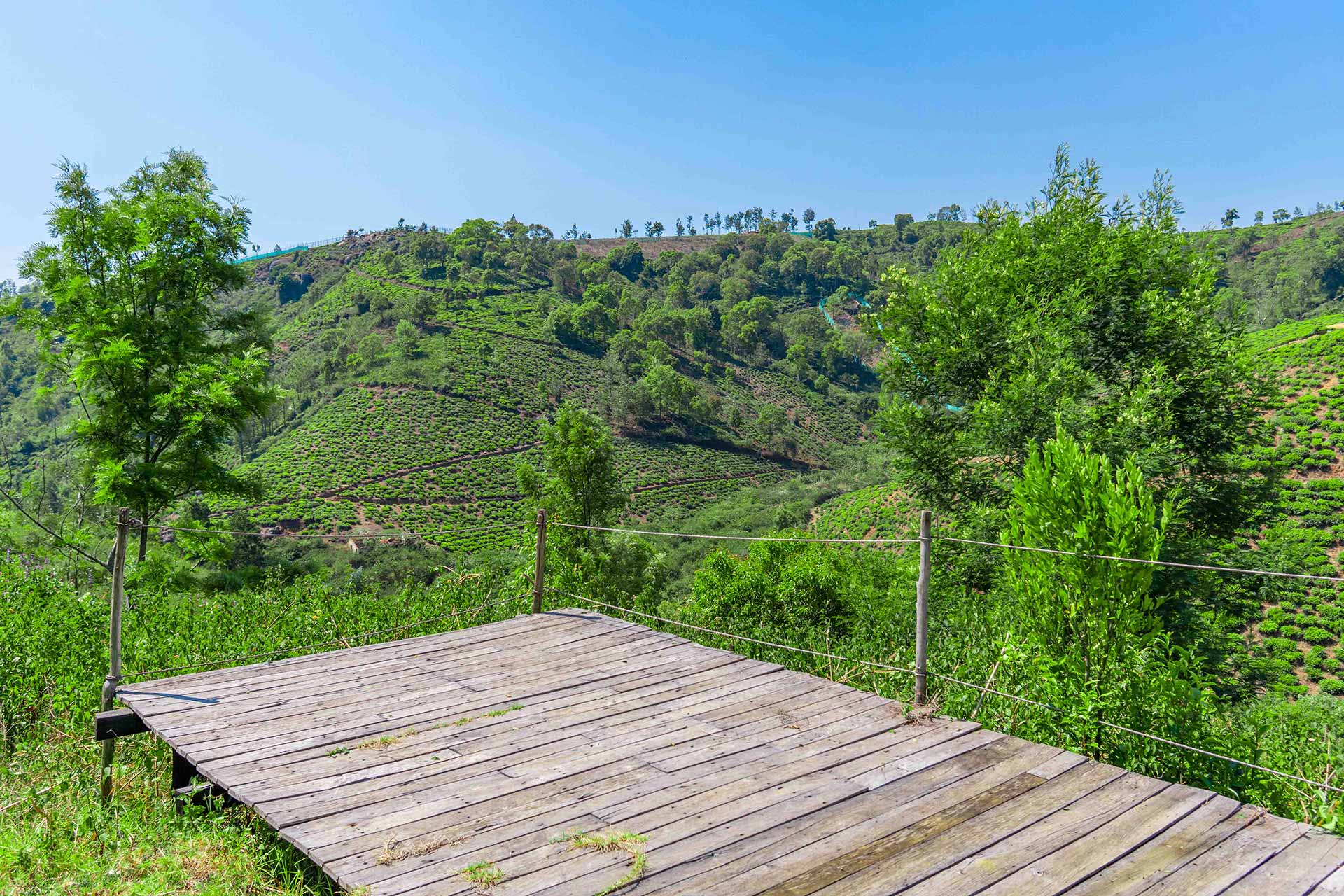 Long Walk Villa - Coonoor