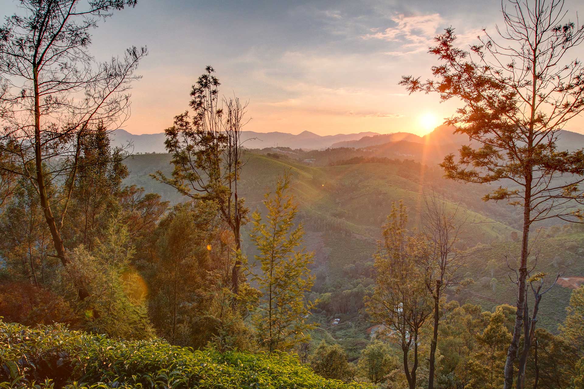 Long Walk Villa - Coonoor - Image 4