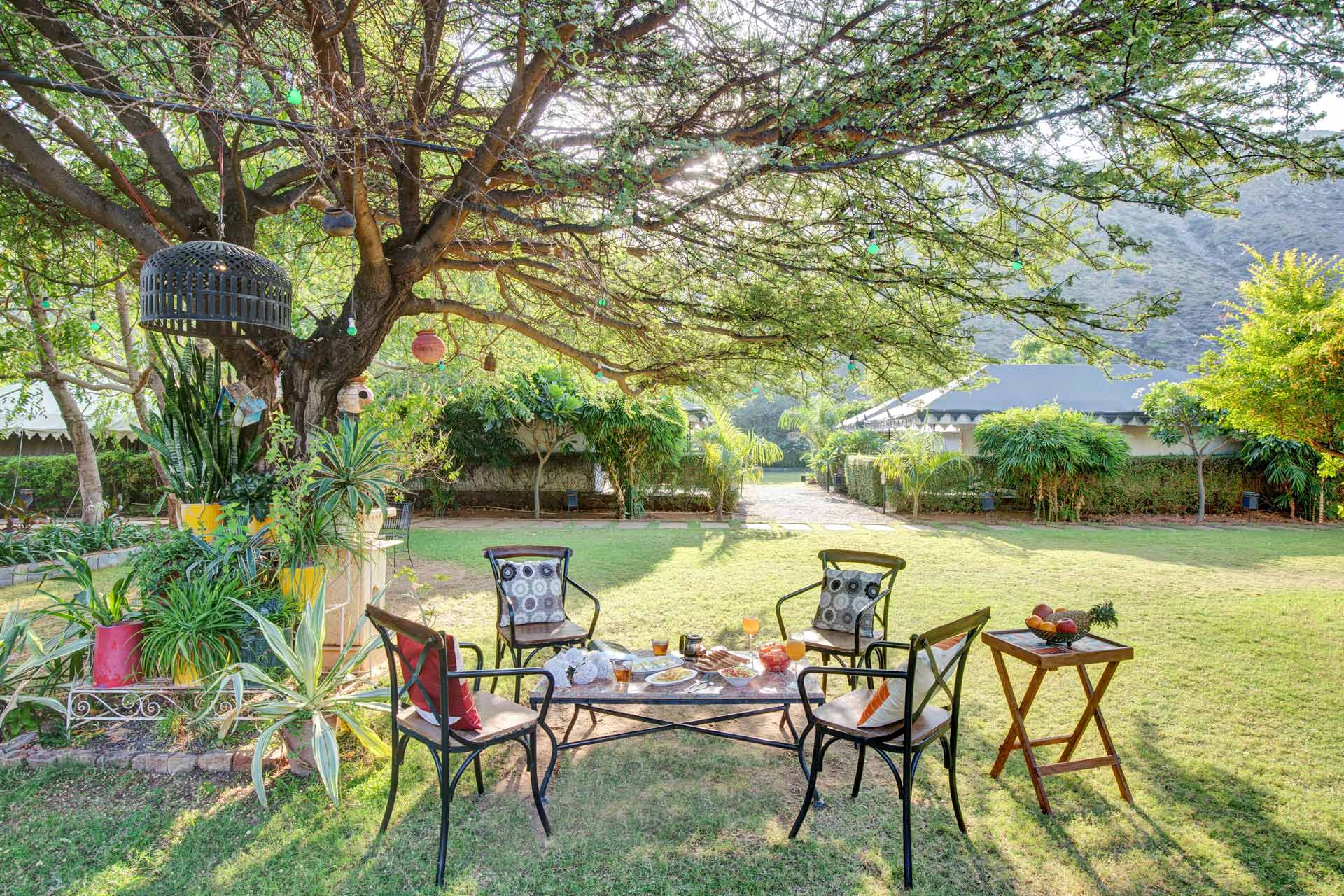 Lush @ The Foothills - Image 3