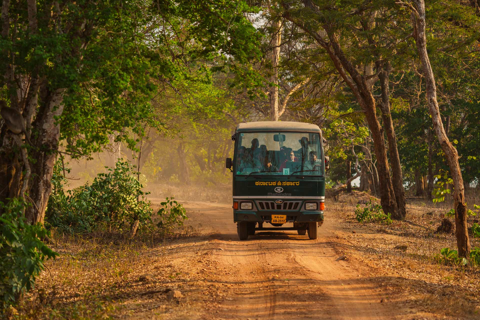 Majestic @ Exotica Kabini - Image 4