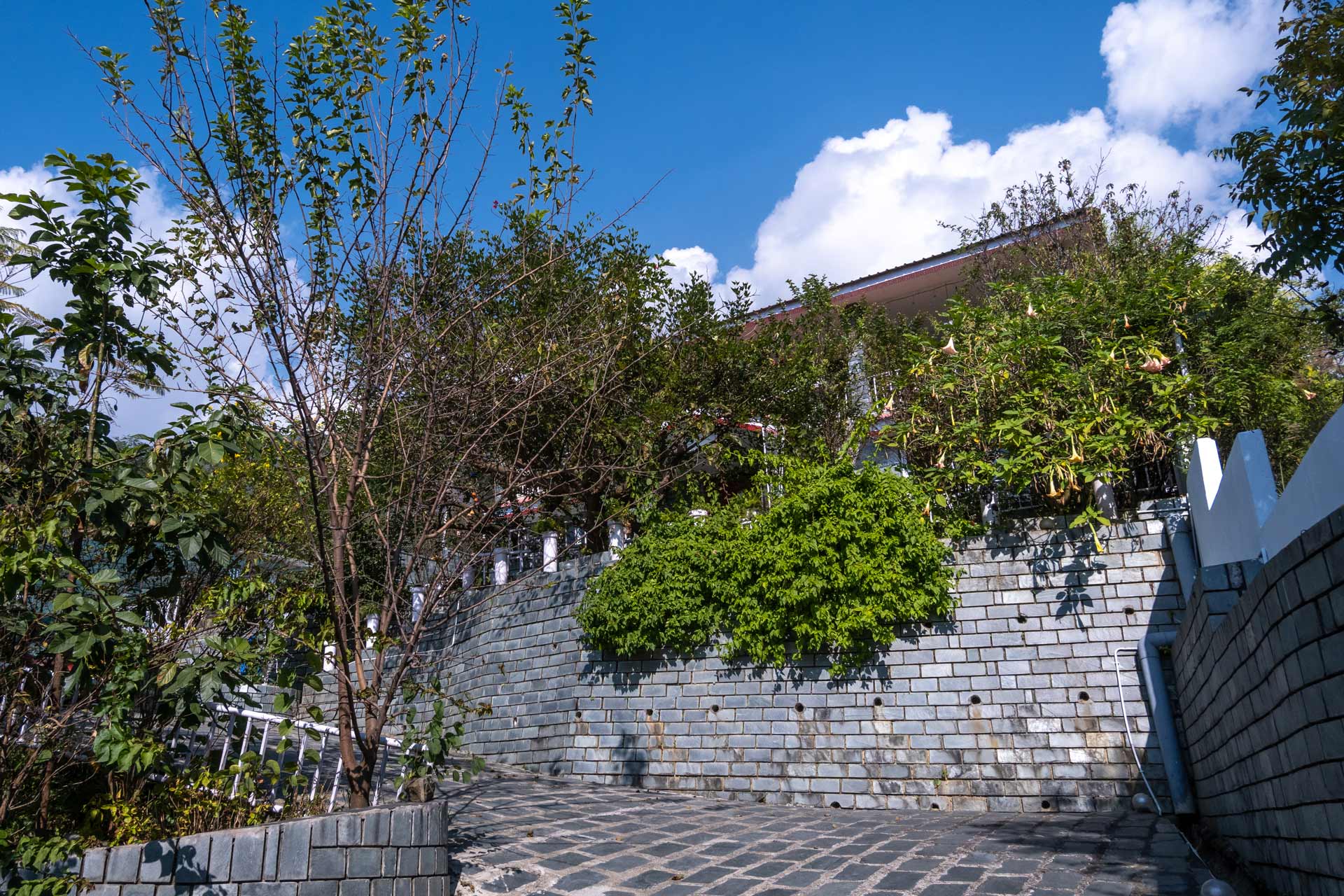 Meraki Homestay - Image 2