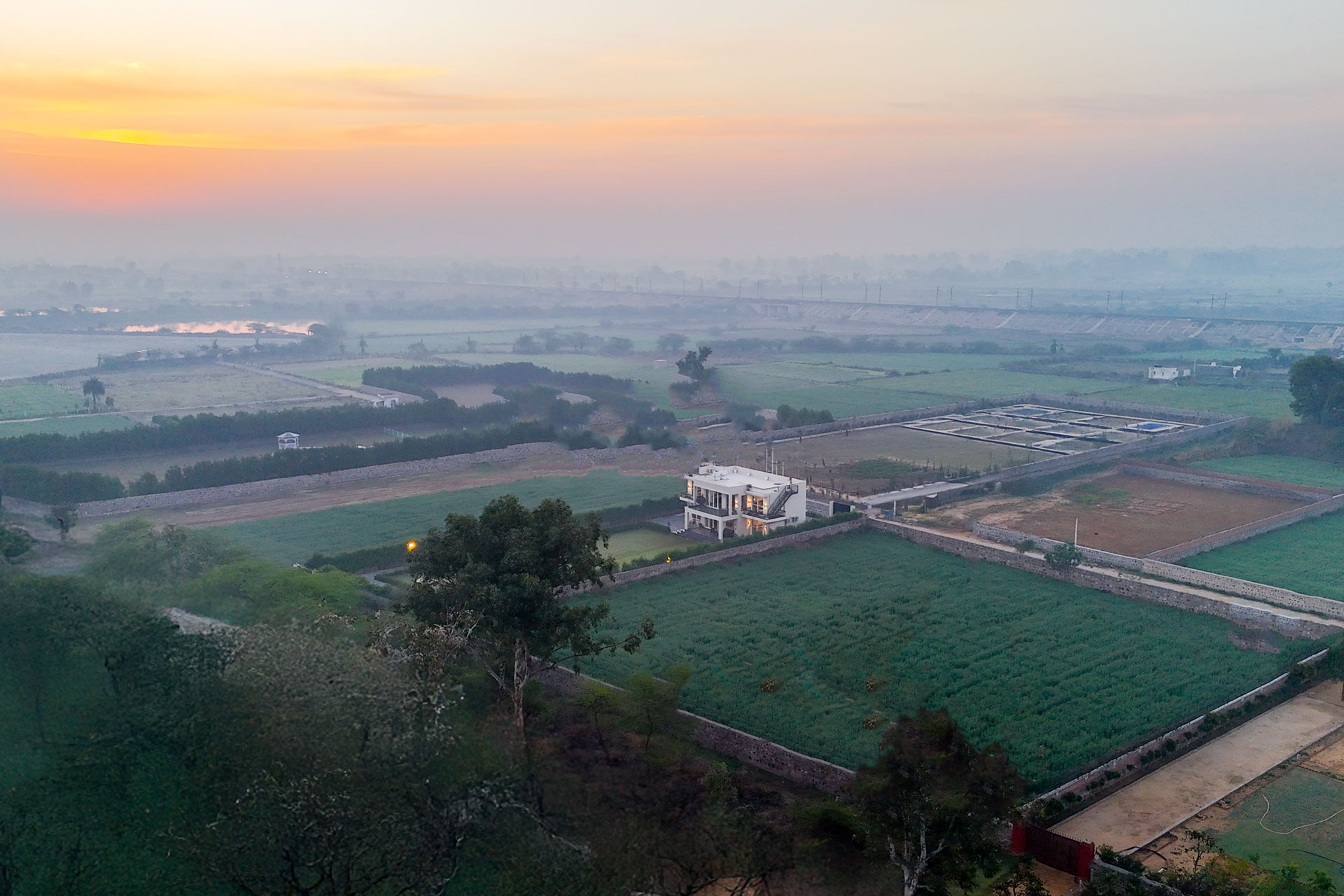 Olive Farms - Image 3