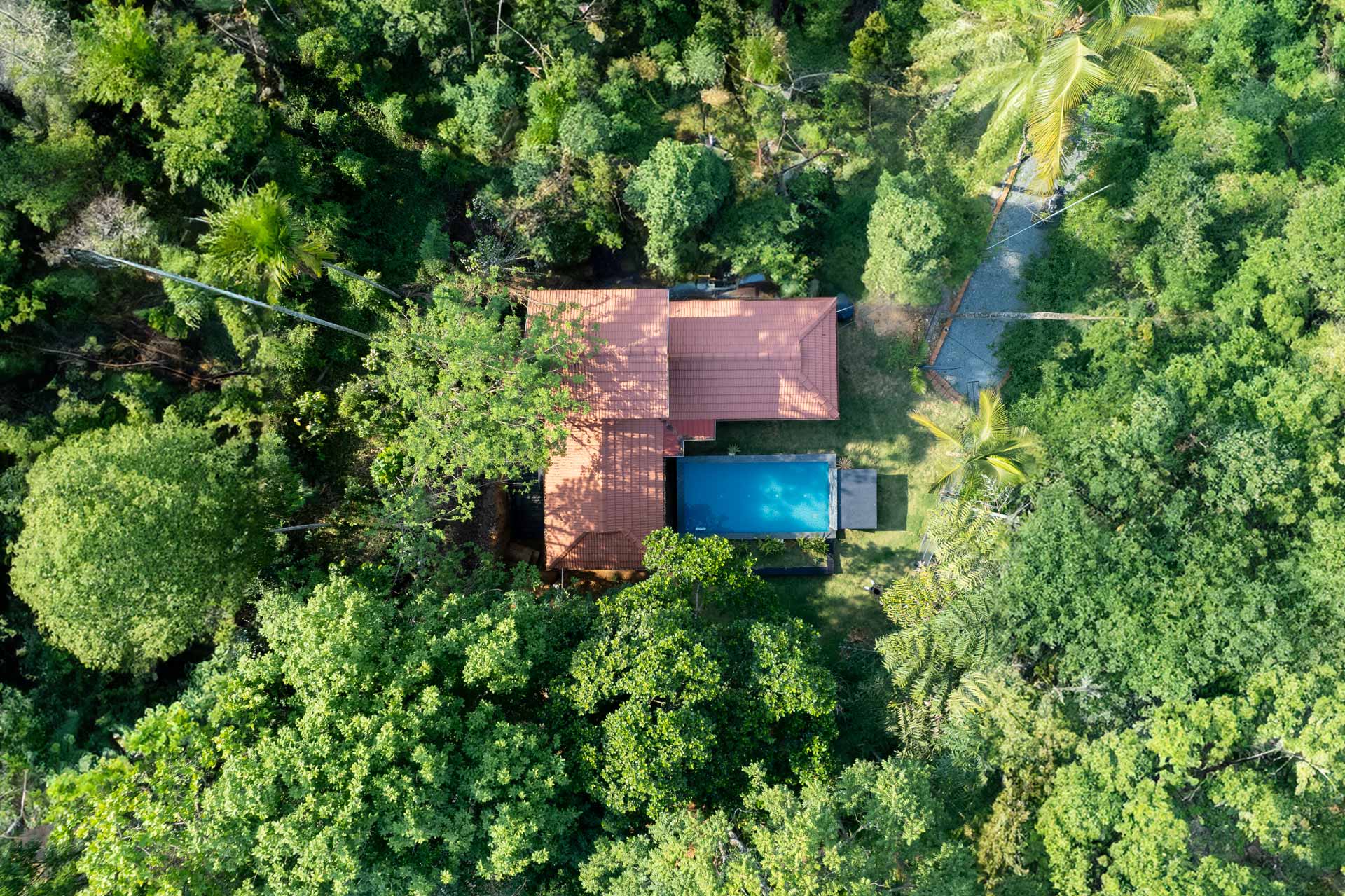 Palm Tree Homes - Image 3