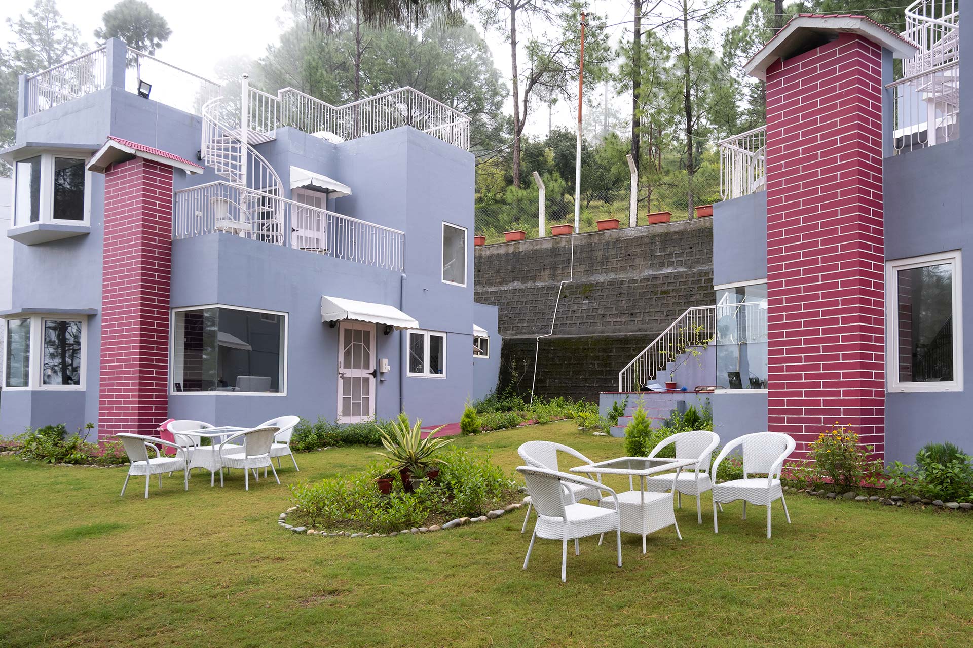 Pines & Spruce - Image 2
