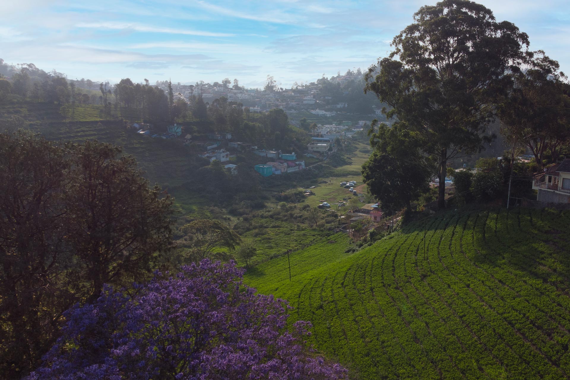 Regal @ Wyncroft Bungalow - Kotagiri