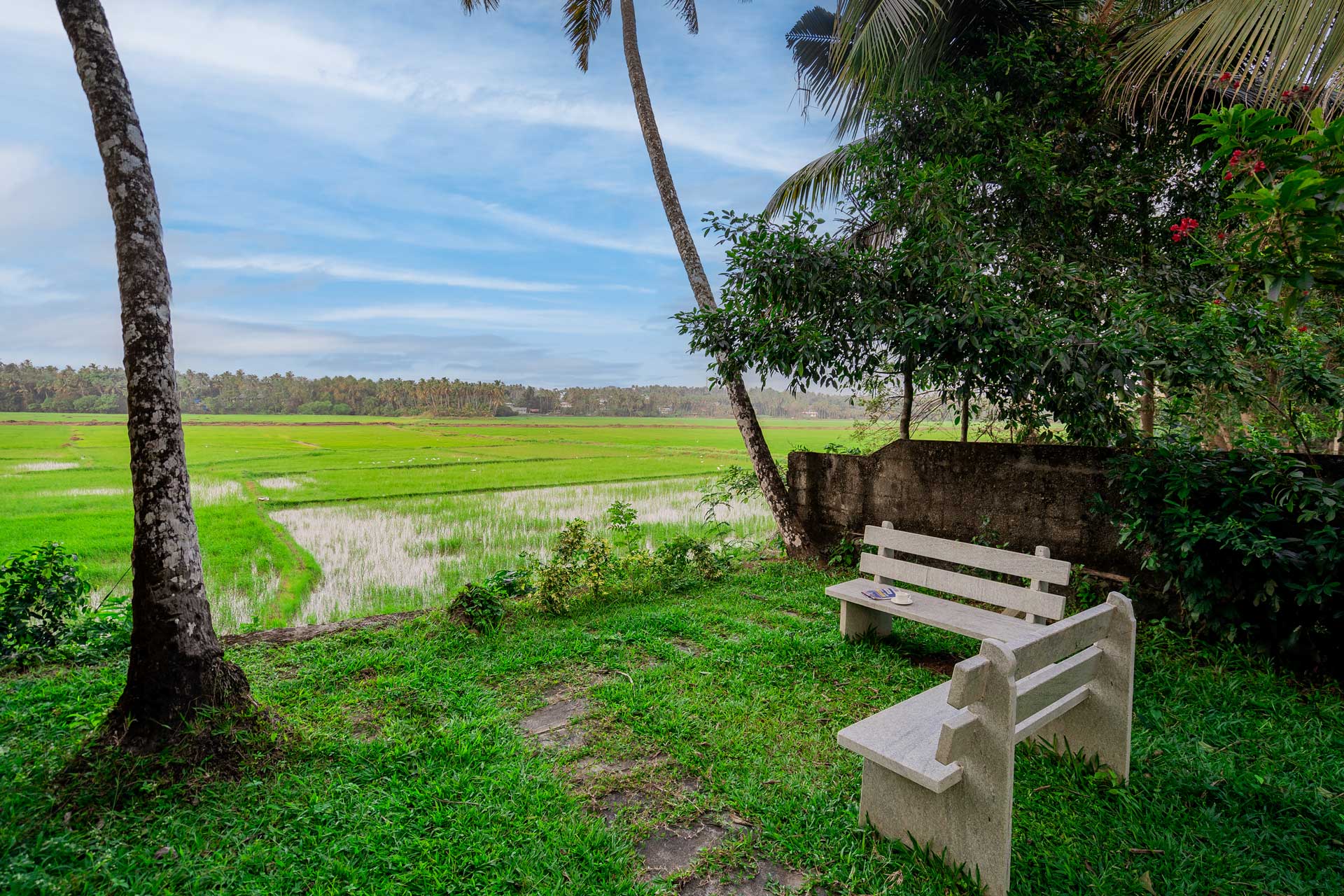 Serene @ Nature’s Nook - Image 4