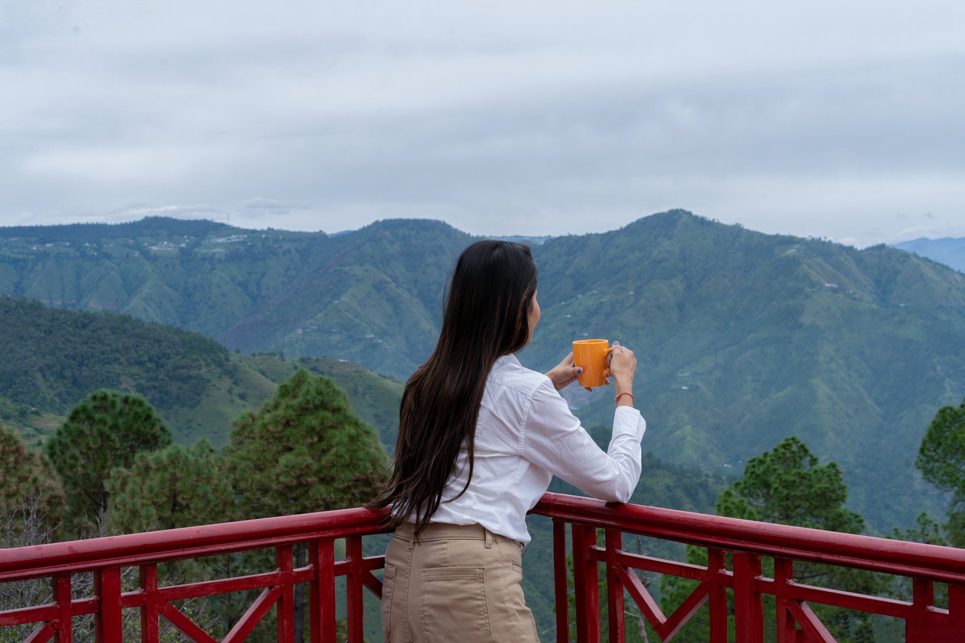 Sunshine Estate - Chail - Image 4