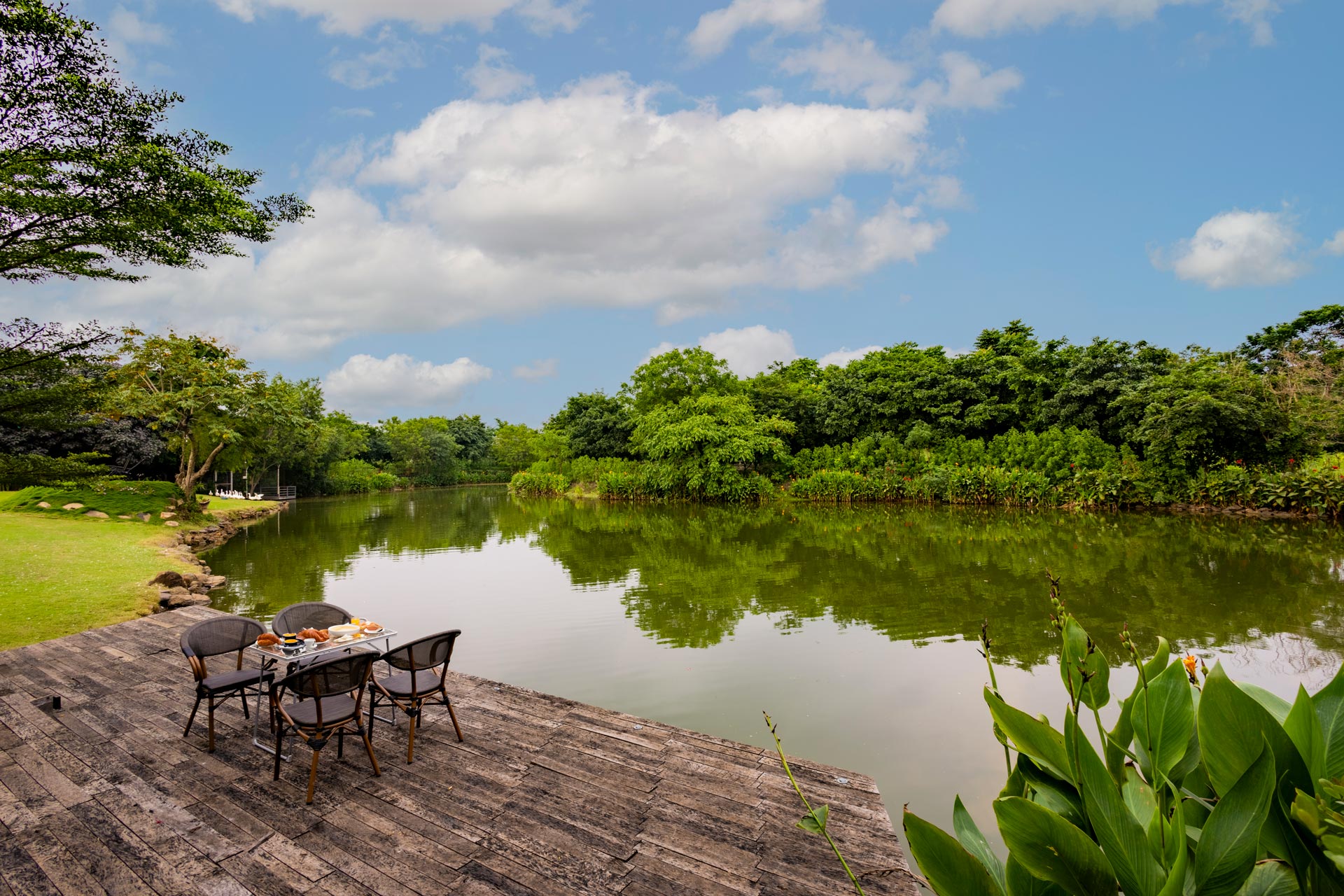Water Song Garden - Image 2