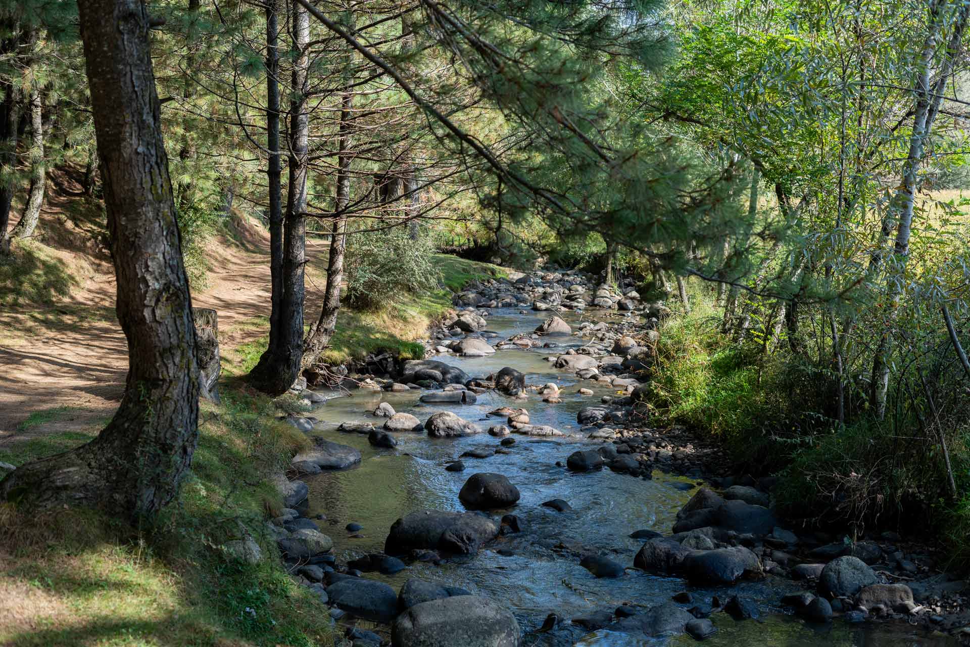 Swiss Chalet - Tangmarg - Image 4
