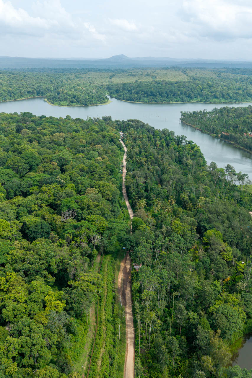 The Canopy