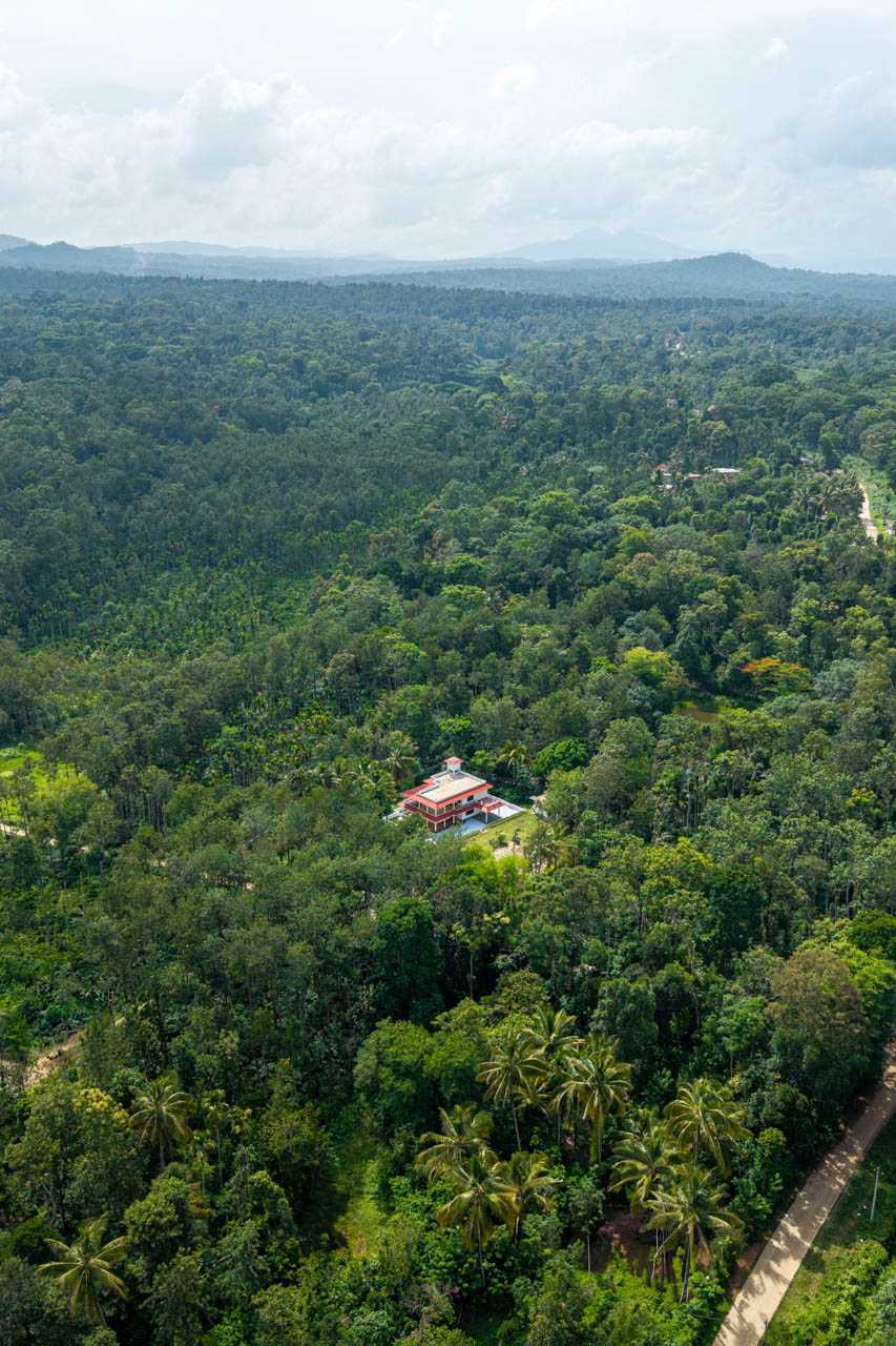 The Canopy