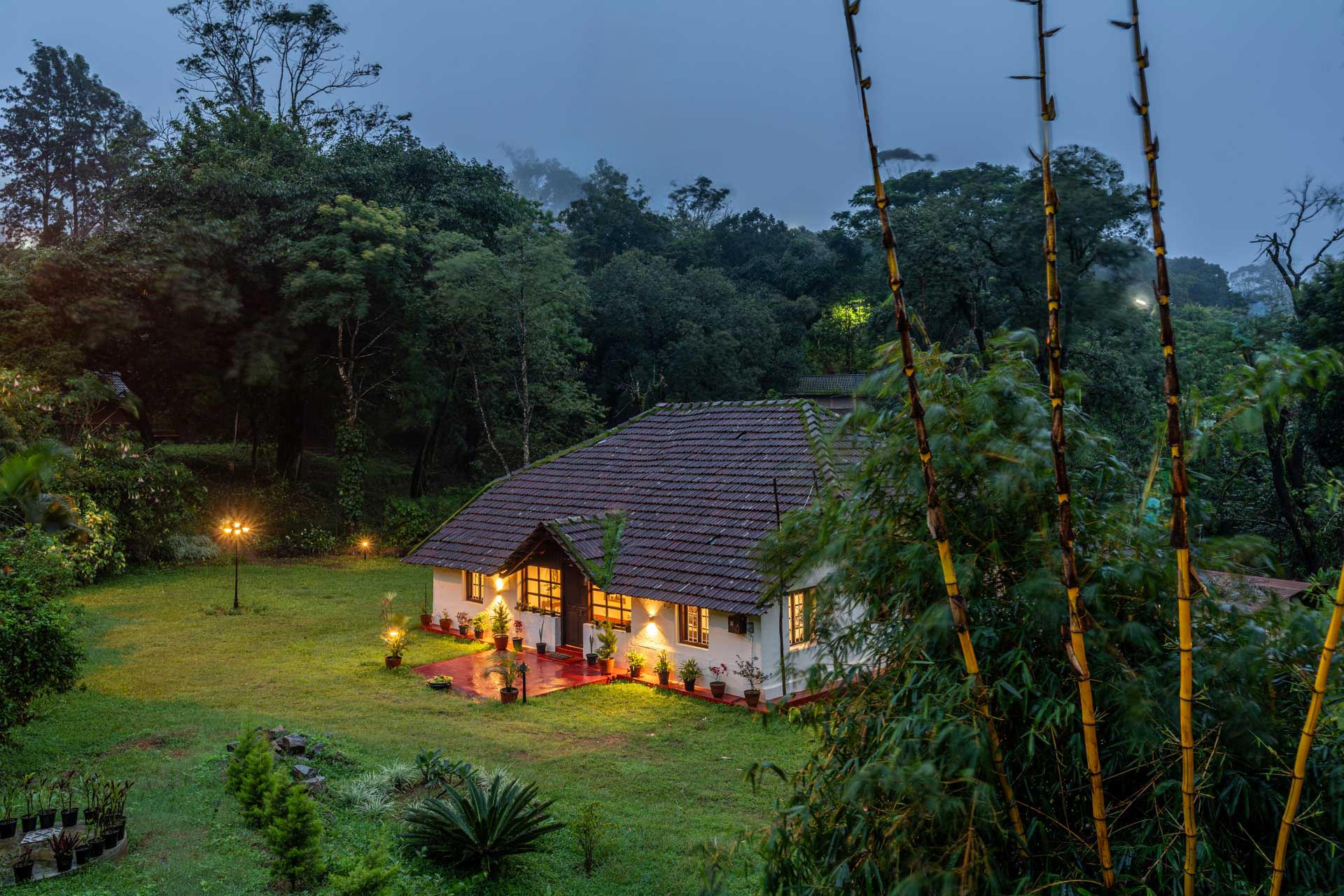 The Fig Tree Villa