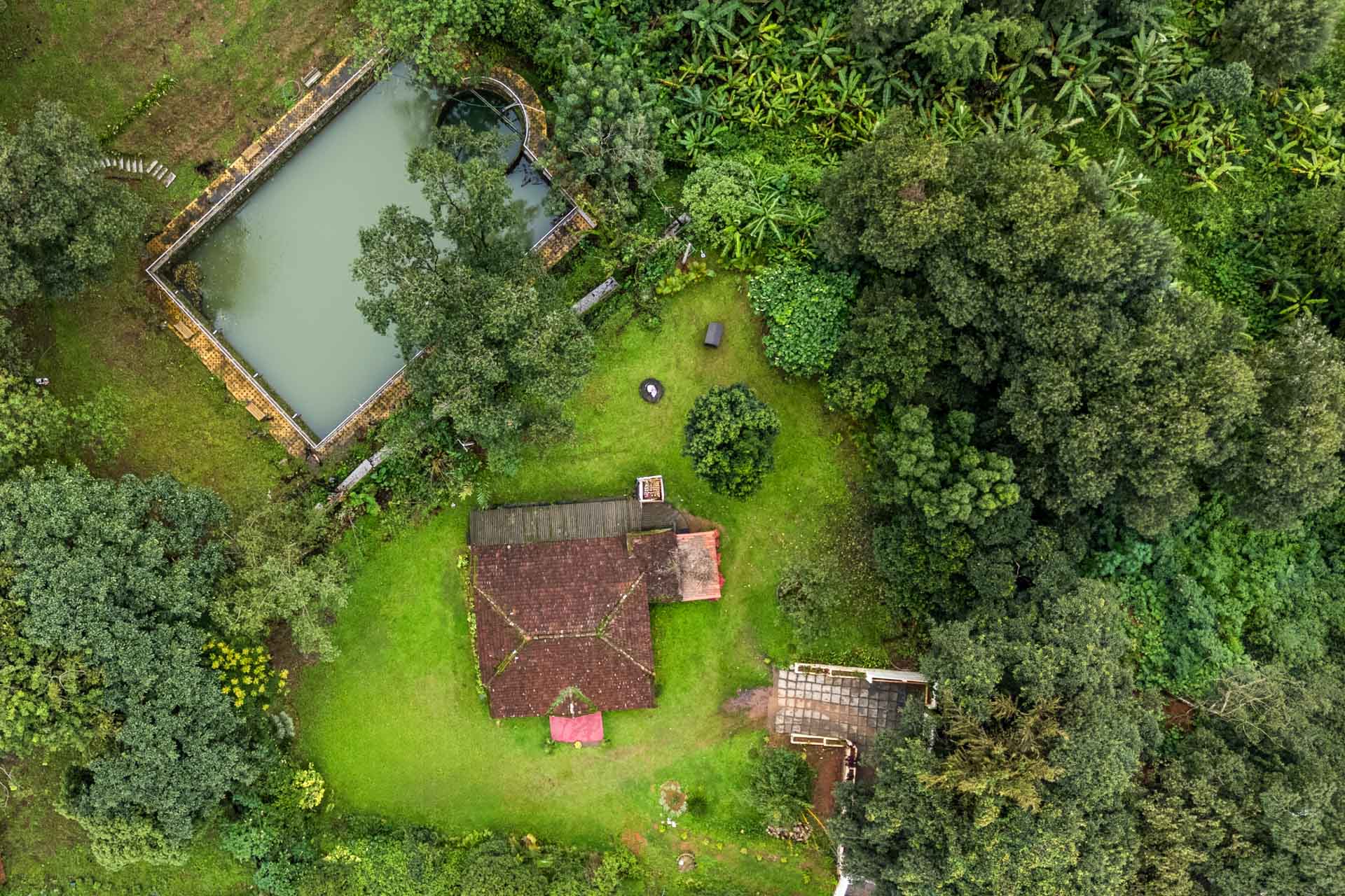 The Fig Tree Villa
