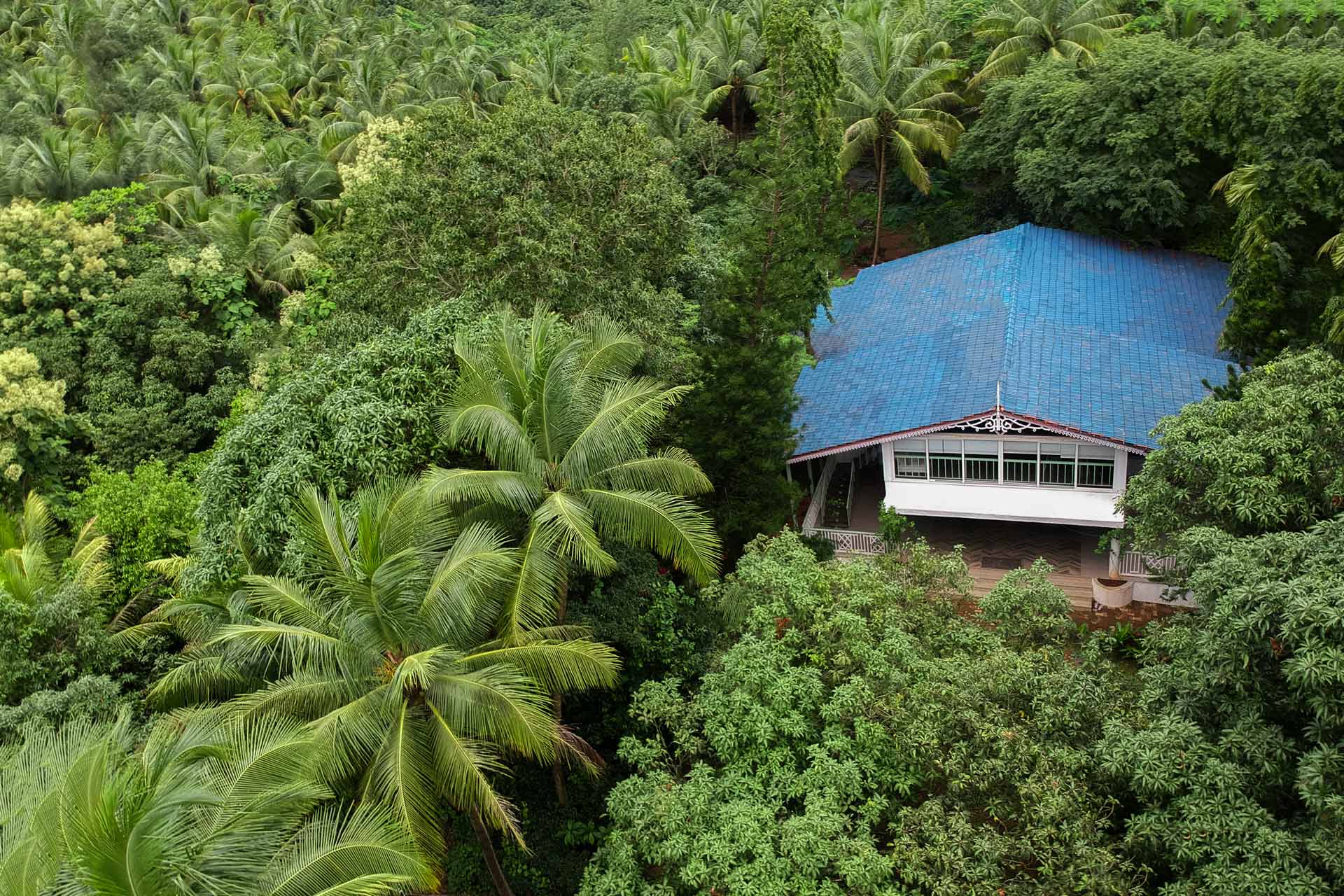Vanya Farms